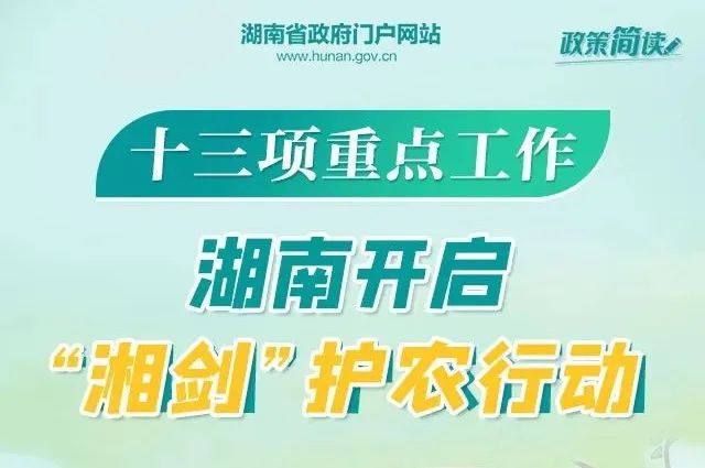 壶镇最新招聘动态与职业机会深度解析